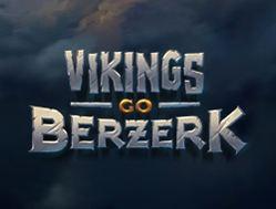 Vikings-Berzerk